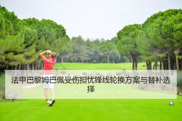 fa-jia-ba-li-mu-ba-pei-shou-shang-dan-you-feng-xian-lun-huan-fang-an-yu-ti-bu-xuan-ze-2-174.jpg